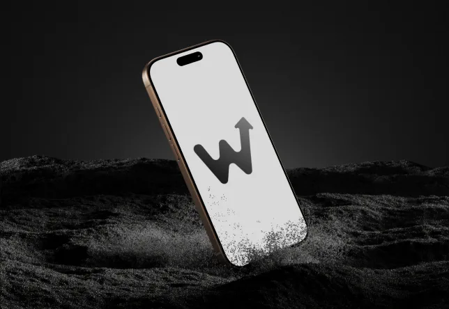 Visuel du projet Projet Wildtransfer